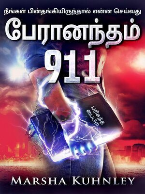 cover image of பேரானந்தம் 911